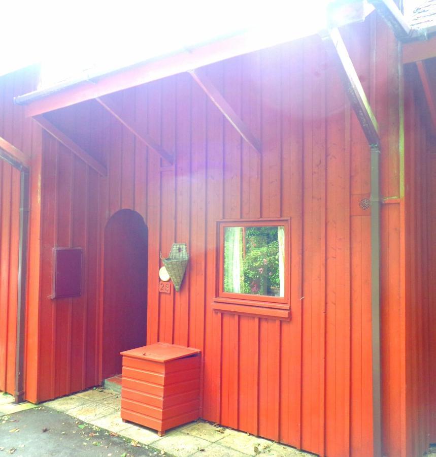 28 Yew Lodge Amroth Exteriör bild
